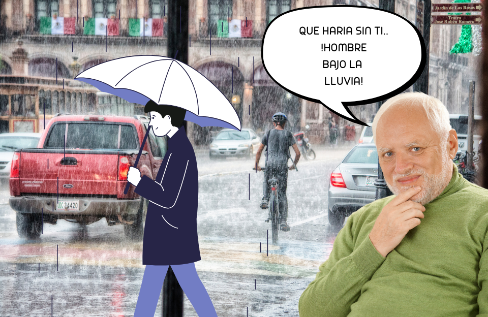 QUE HARIA SIN TI HOMBRECITO BAJO LA LLUVIA QUE HARIA SIN TI HOMBRECITO BAJO LA LLUVIA